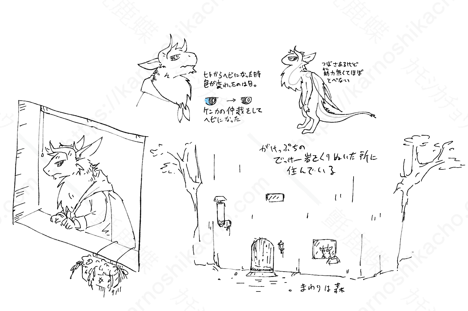 IMG_1048(1).PNG