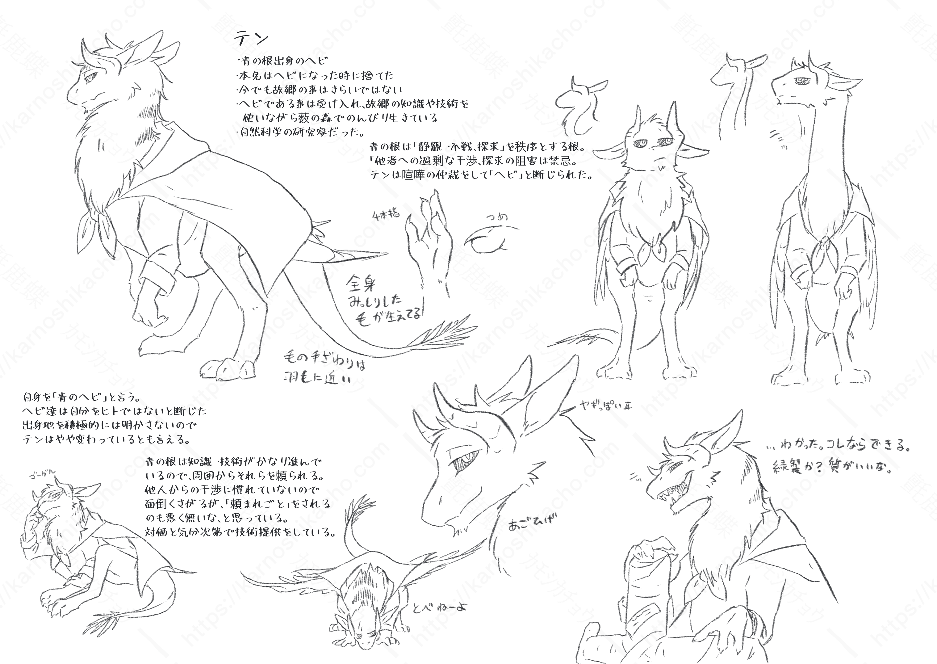 IMG_1072(1).PNG
